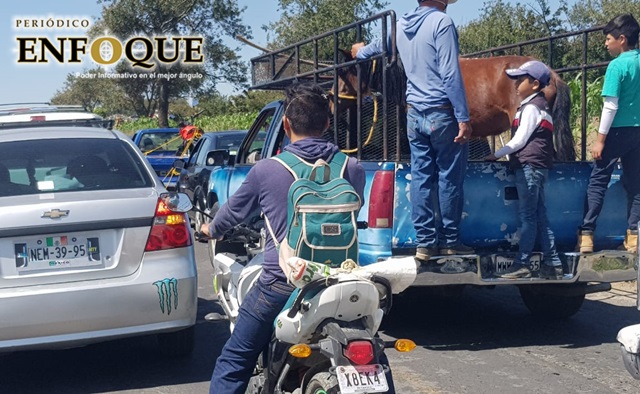 tianguis calpan covid 02 07 2020