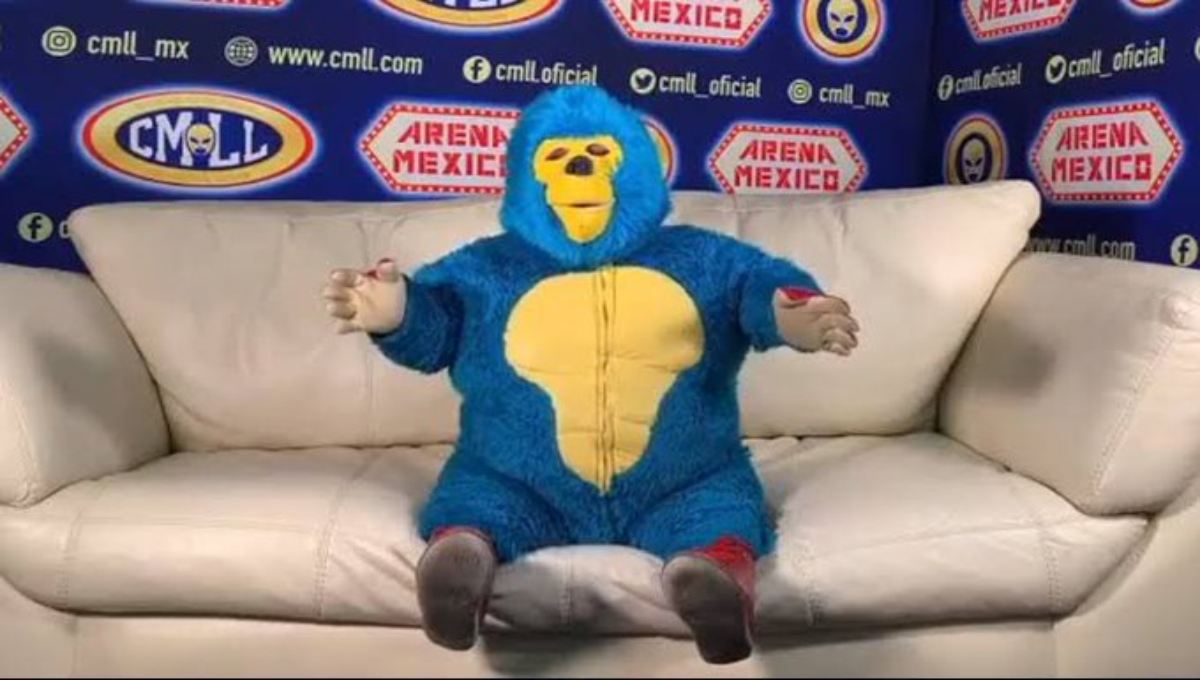 Foto: Cortesía Kemonito: La celebridad de Internet que hoy festeja su cumpleaños