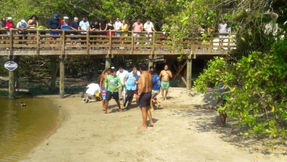 Foto: Cortesía Cocodrilo muerde a niño de 6 años en playa de Ixtapa Zihuatanejo