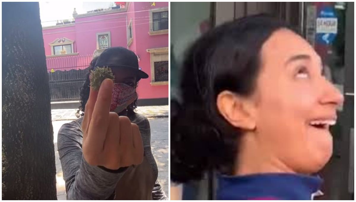 Foto: Cortesía ¿Origen de la COVID-19?: Flor Amargo desata burlas e indignación tras “entrevista” a un árbol