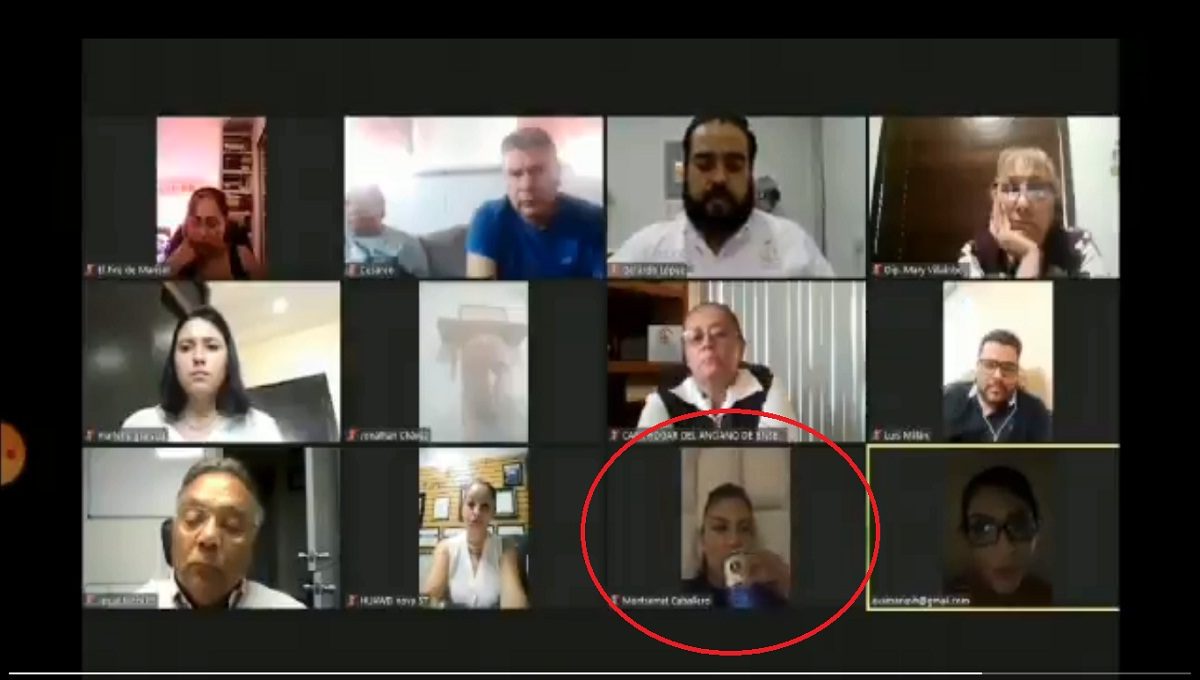 Foto: Cortesía Cachan a diputada con una cerveza en plena reunión virtual (Video)