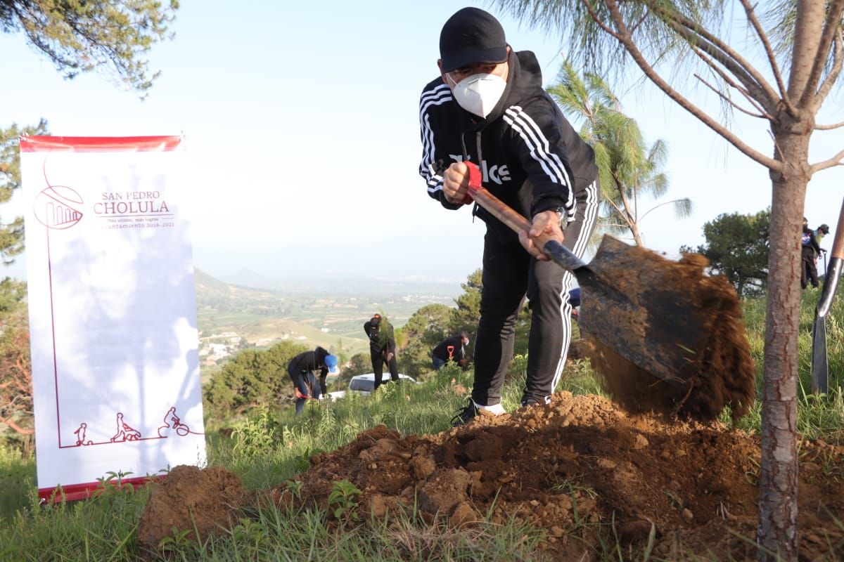 Foto: Cortesía Reforesta gobierno de San Pedro Cholula el cerro Zapotecas