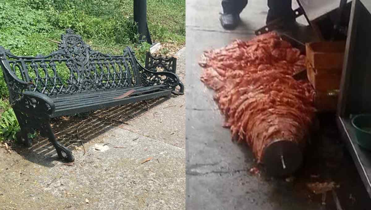 Foto: Cortesía “Se está viniendo abajo nuestro país”: Se burlan con memes de tuit de Claudio X. González