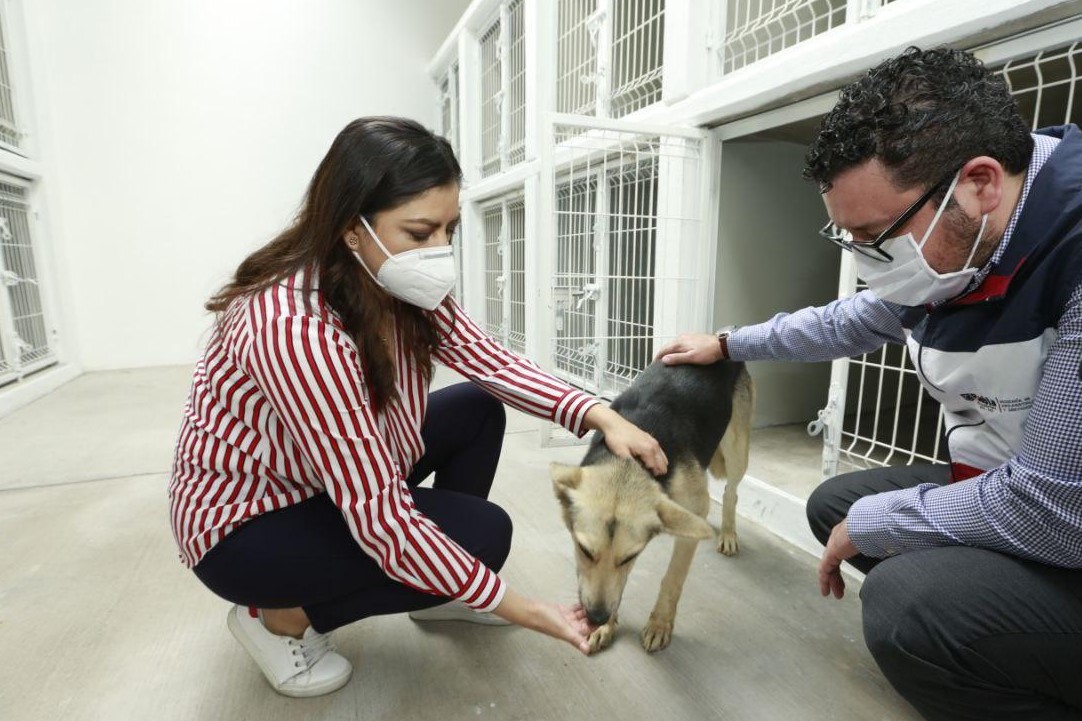 Foto: Cortesía Ayuntamiento reconstruye centro atención animal