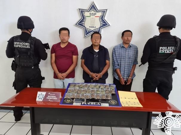 Foto: Cortesía SSP captura en Amozoc a banda dedicada al robo de vehículos