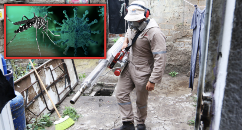 Foto: Cortesía Reportan primera muerte por 'covidengue' en Jalisco