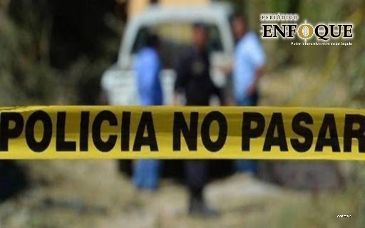 Hallan cuerpo de recién nacido en Amozoc, era devorado por perros callejeros