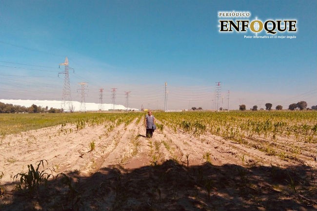 Foto: Cortesía SEGOM se compromete a investigar obras irregulares en La Resurrección