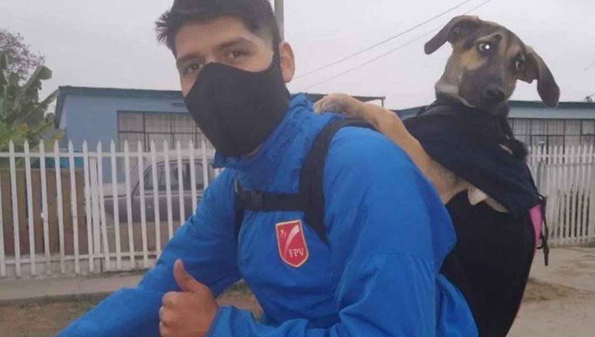 Repartidor adopta a perrita y ahora lo acompaña a hacer entregas