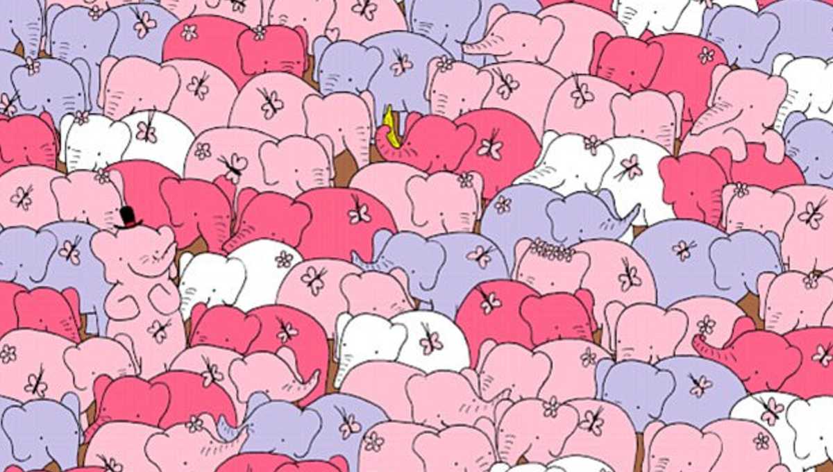 Encuentra el corazón entre los elefantes, el reto viral que pocos pueden cumplir