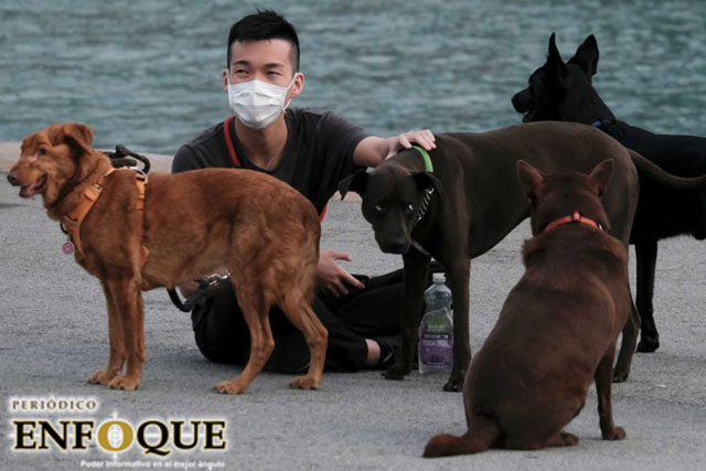 Foto: Cortesía China prohíbe la crianza de perros para consumo humano