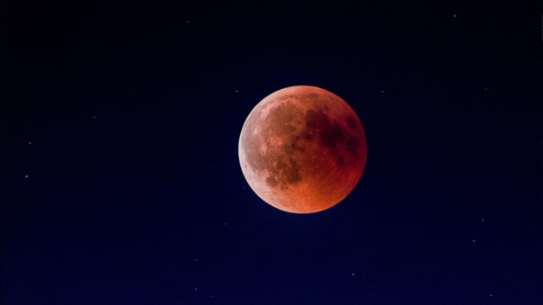 Foto: Cortesía Una Luna de 'fresa', un buen vino, una linda película y otras noticias para que te olvides del COVID-19