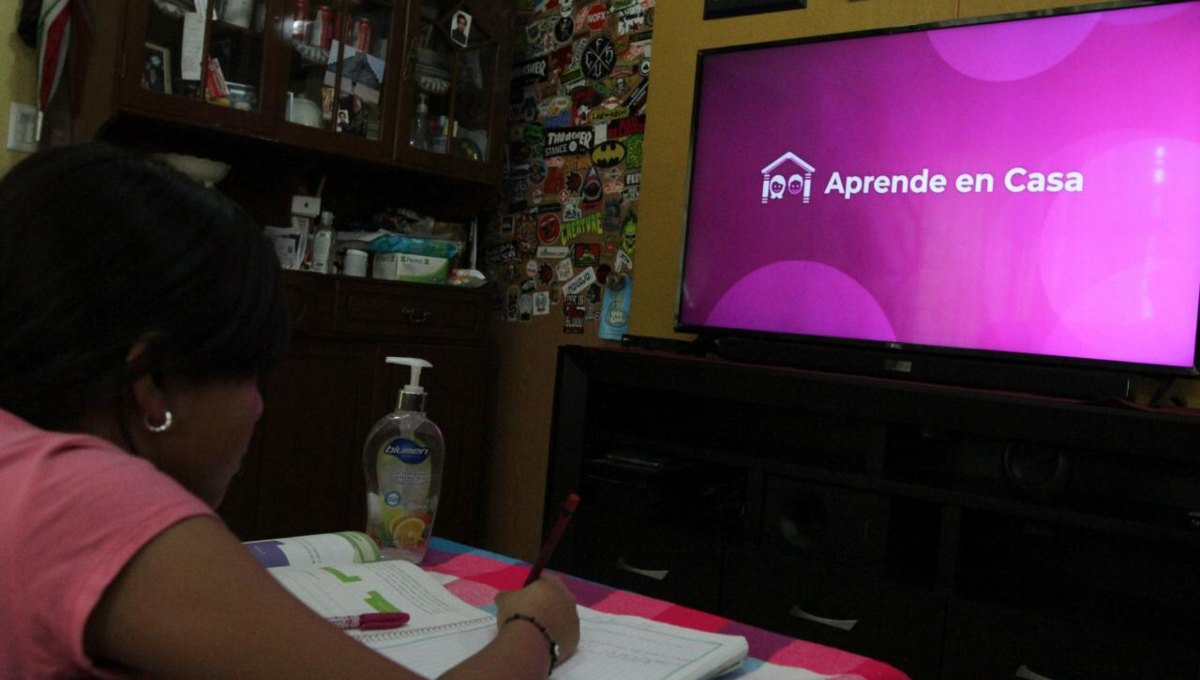 Foto: Cortesía ¿Cómo y dónde consultar la boleta de calificaciones de la SEP 2020 en línea?