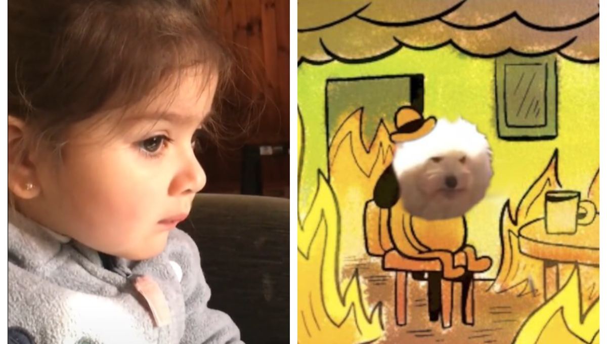 Foto: Cortesía “Sácala de ahí porque se está quemando”, el heroico y tierno origen del popular meme