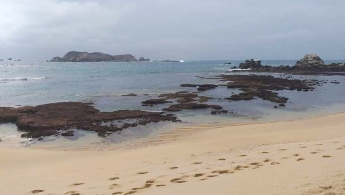 Foto: Cortesía ¿Cuánto tiempo tarda en llegar un tsunami después de un sismo?