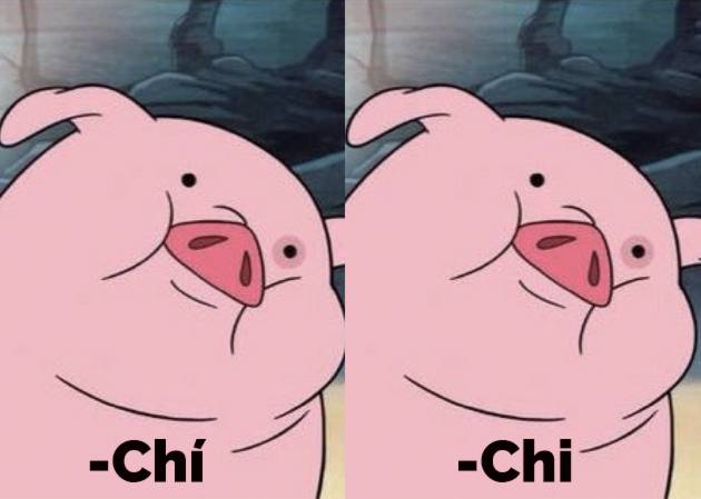 Foto: Cortesía ¿‘Chi’ o ‘chí’? ¿Qué dice Fundéu y la RAE?