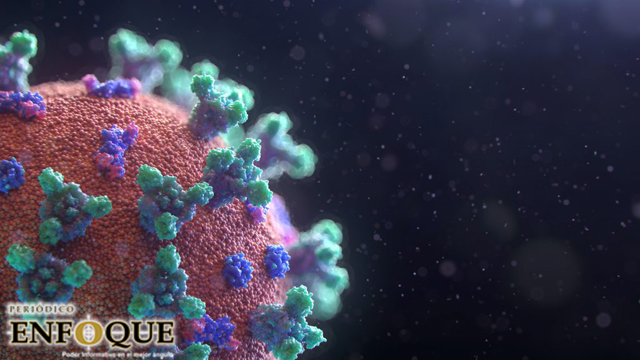 Foto: Cortesía ¿Cómo adquieres inmunidad ante coronavirus después de enfermarte?