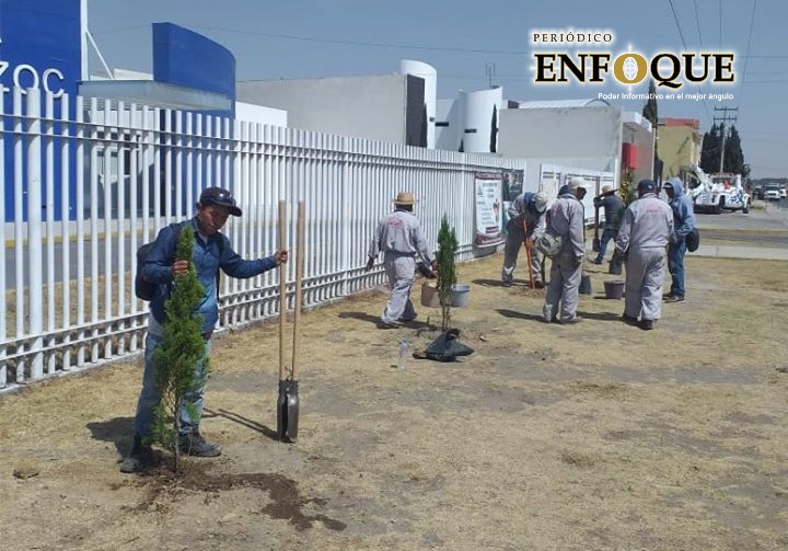 Foto: Marisol Oropeza Amozoc impulsa la reforestación; 20 mil árboles en esta segunda etapa