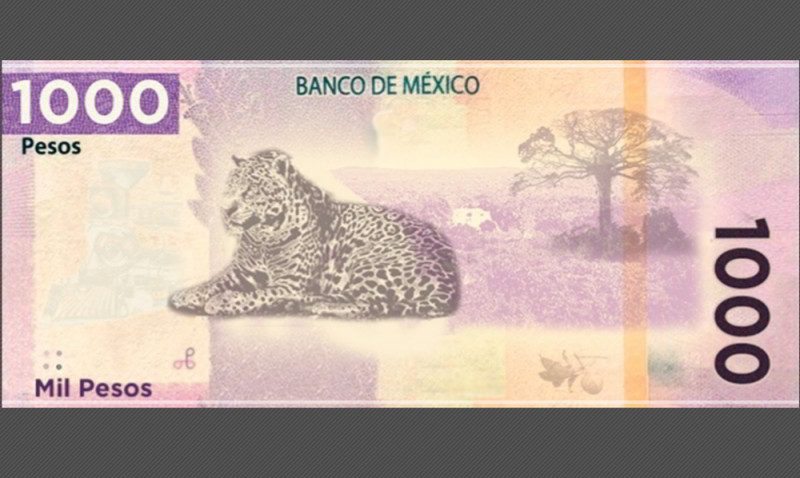 Foto: Cortesía Este es el nuevo billete de mil pesos, tendrá jaguar, Calakmul y Ciudad Maya