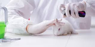 Foto: Cortesía ¡Por fin! Senado prohibe uso de animales vivos en la producción de cosméticos