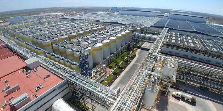 Foto: Cortesía Acciones de Constellation Brands caen más 10% tras consulta de AMLO en Mexicali