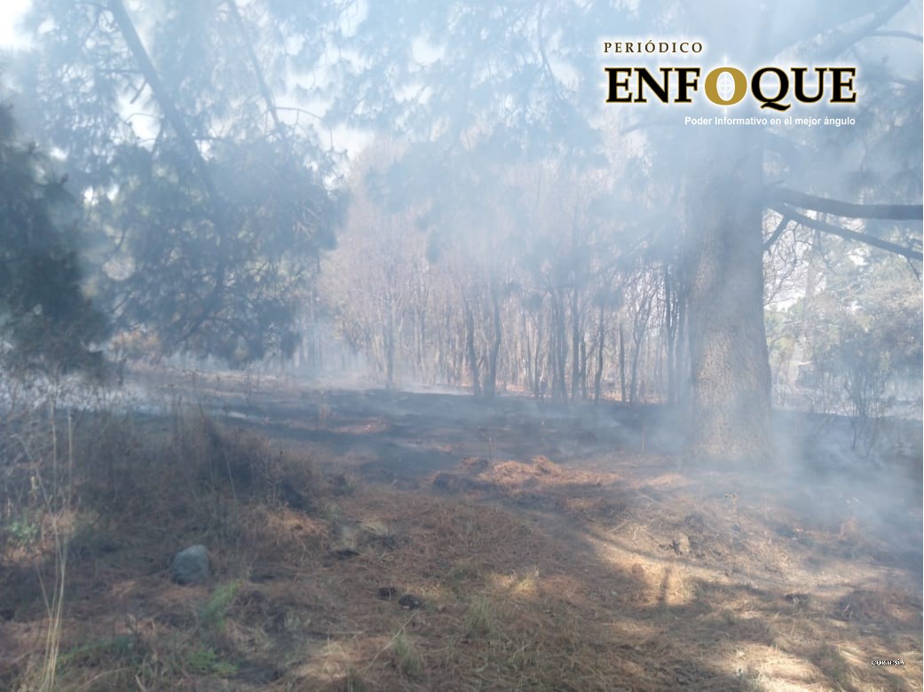 Foto: Cortesía En tan solo tres meses, más de mil hectáreas afectadas por incendios forestales en Puebla