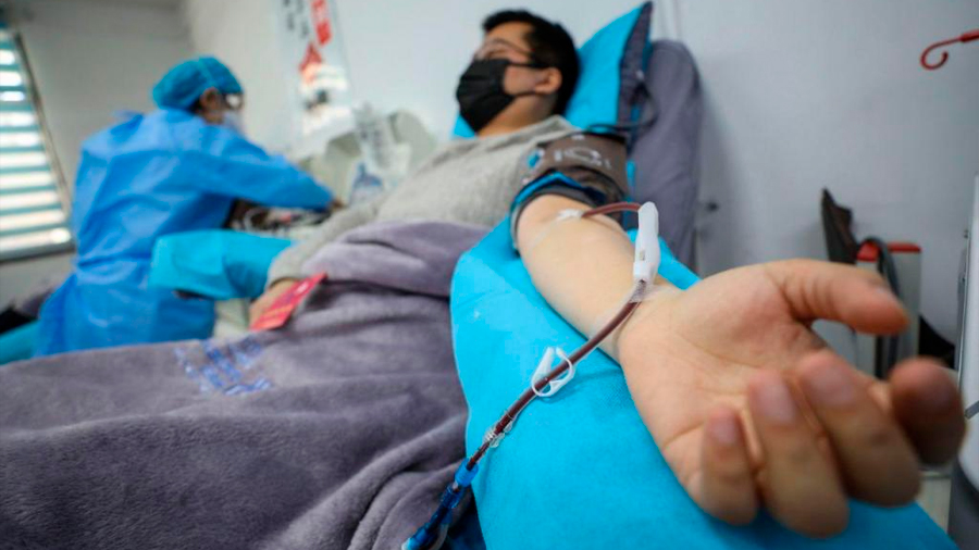 Foto: Cortesía ¿La sangre de los sobrevivientes al COVID-19 puede funcionar para tratar la enfermedad?