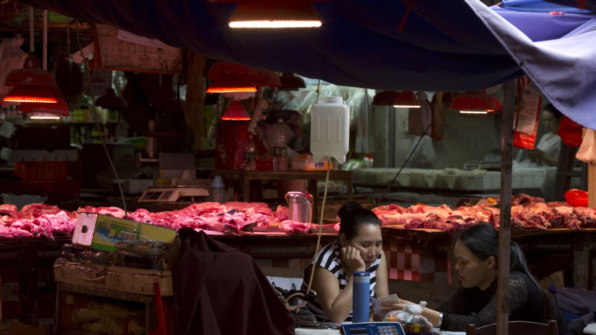 Foto: Cortesía EU no ha dado evidencia de supuesto origen de coronavirus: OMS