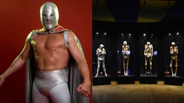 Foto: Cortesía ¿Y las 22 momias “desaparecidas” en Guanajuato? Hijo de ‘El Santo’ revela dónde están