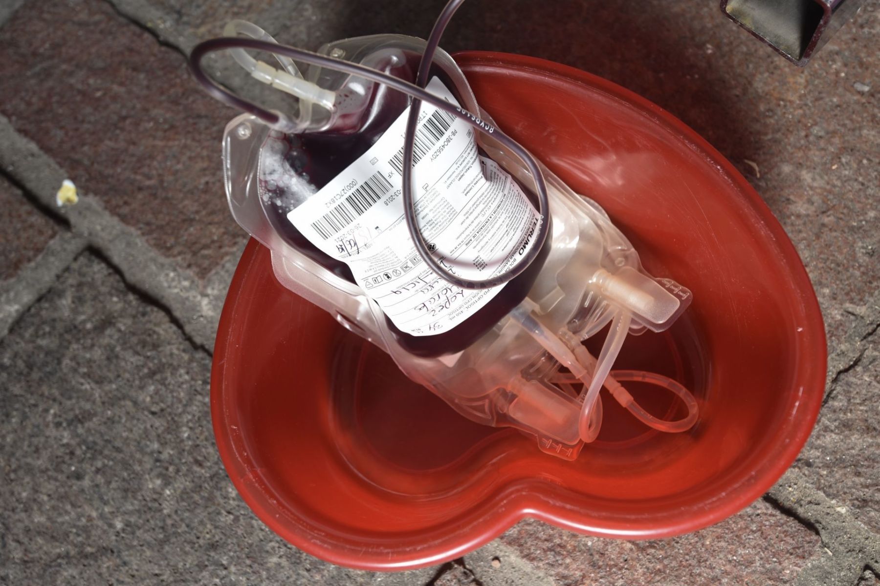 IMSS iniciará campaña de donación de sangre el lunes