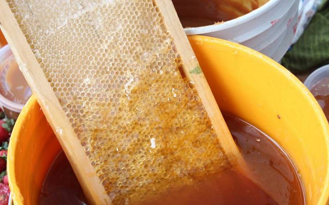 Foto: Cortesía Miel de abejas debe ser incluida en despensas que gobernadores proporcionan a población vulnerable por COVID-19