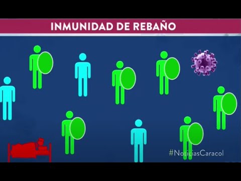 Foto: Cortesía ¿Qué es la inmunidad de rebaño? Esta es la explicación de López-Gatell