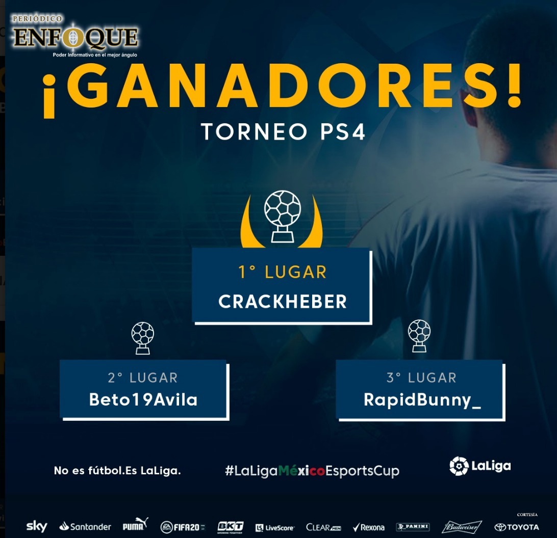 Ganadores PS4 ink