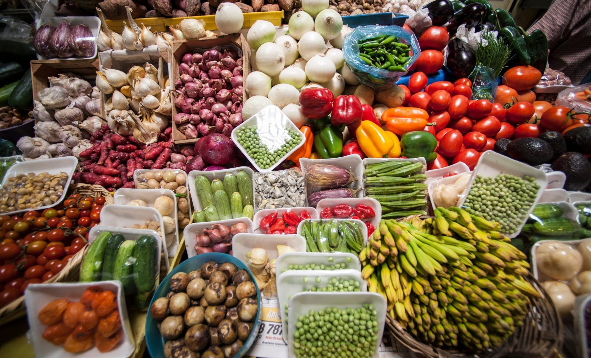 Cadenas agroalimentarias podrían colapsar si la cuarentena se extiende: Académico