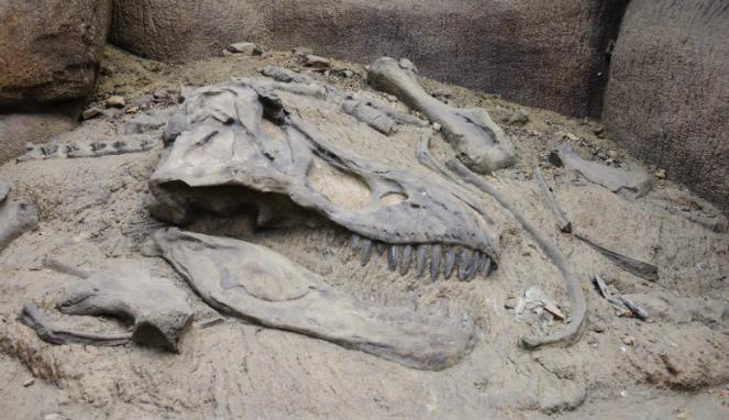 Foto: Cortesía Los dinosaurios tienen un miembro más en la familia: Investigadores descubren nueva especie en Arizona