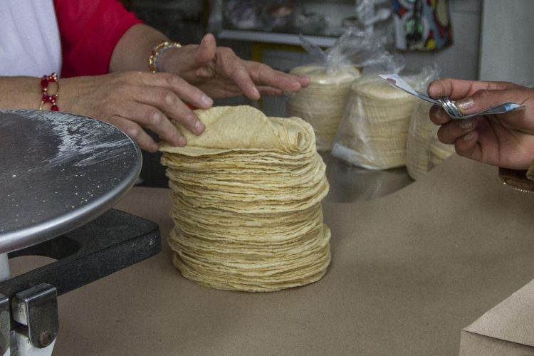 Foto: Cortesía Precio de la tortilla debe mantenerse sin cambios hasta mediados de 2021: SE y Sader
