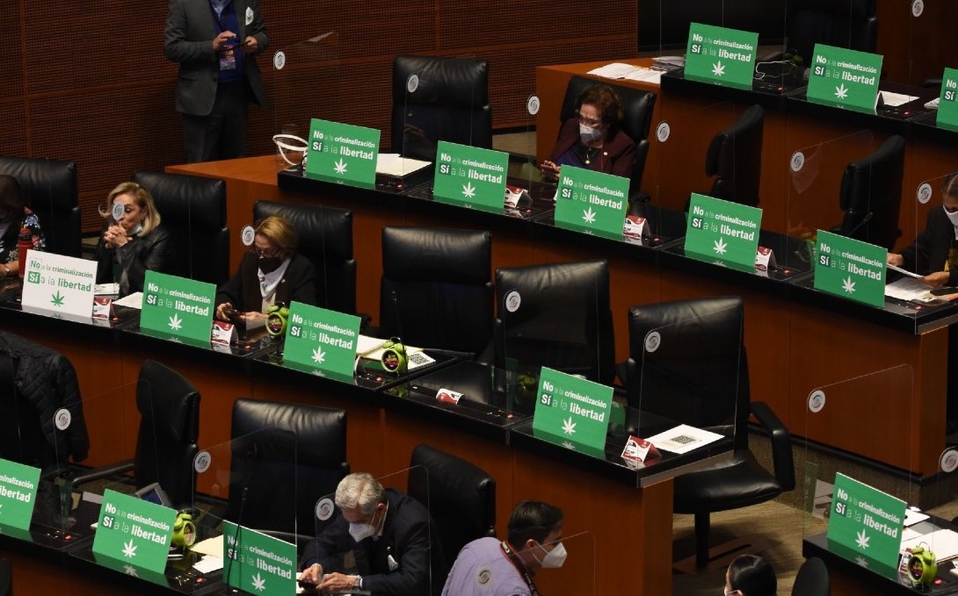 Foto: Cortesía Mariguana en México: Senado aprueba histórica regulación integral