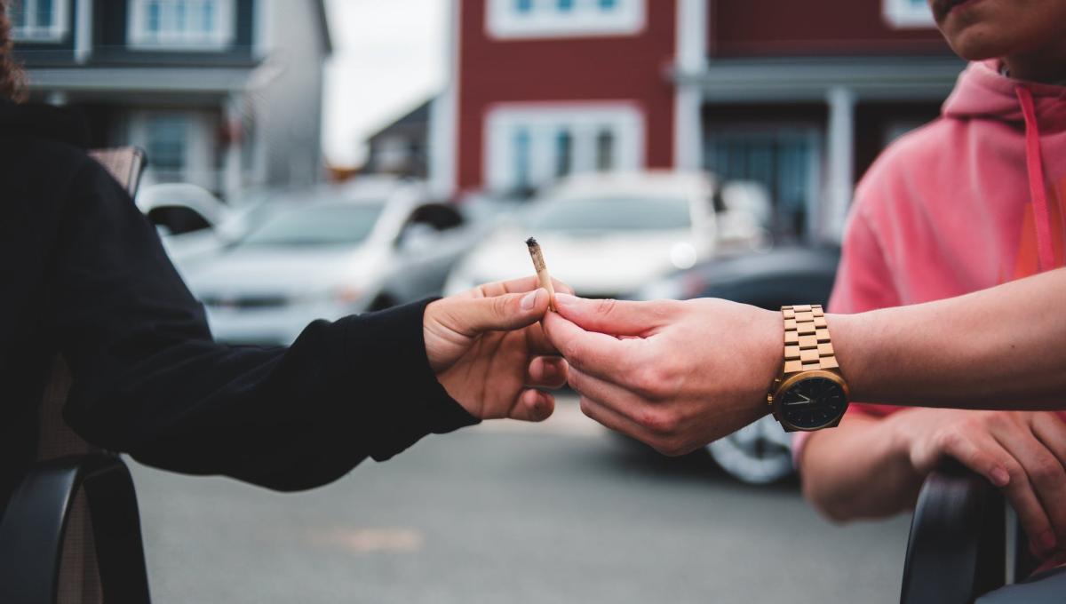 Foto: Cortesía Iglesia Católica califica como “preocupante” la despenalización de la marihuana