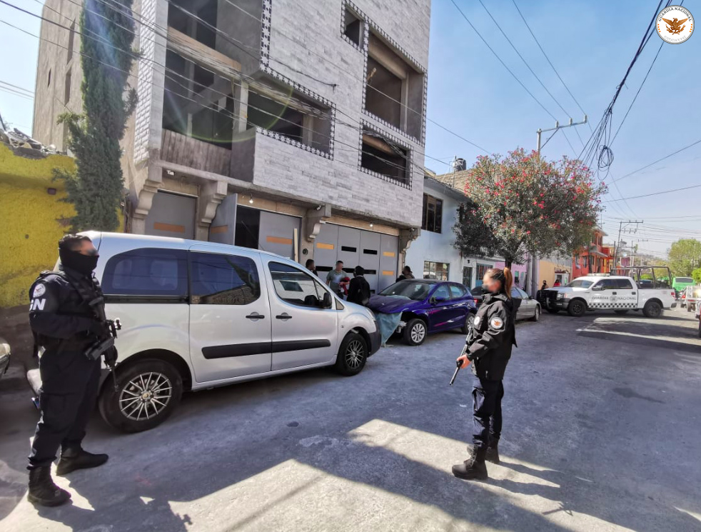Foto: Cortesía Guardia Nacional y Profepa recuperan a 15 mil animales protegidos de dos casas en Iztapalapa