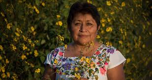 Foto: Cortesía La mexicana Leydy Pech gana el 'Nobel' del medioambiente
