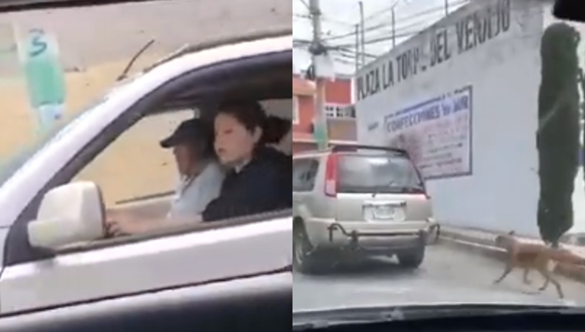 Foto: Cortesía Sin piedad, pareja arrastra a perro con su camioneta en Hidalgo (Video)