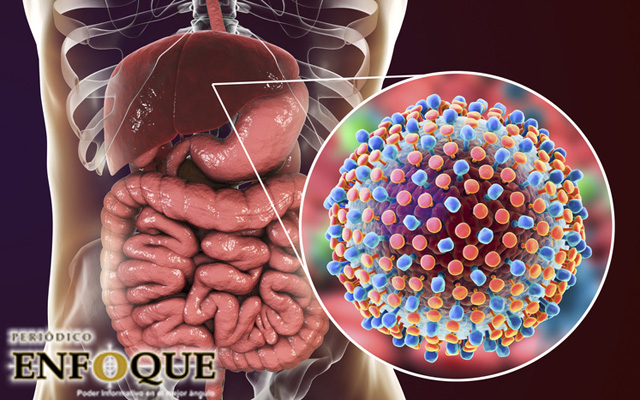Foto: Cortesía Nobel de Medicina 2020, para los 3 científicos que descubrieron la hepatitis C