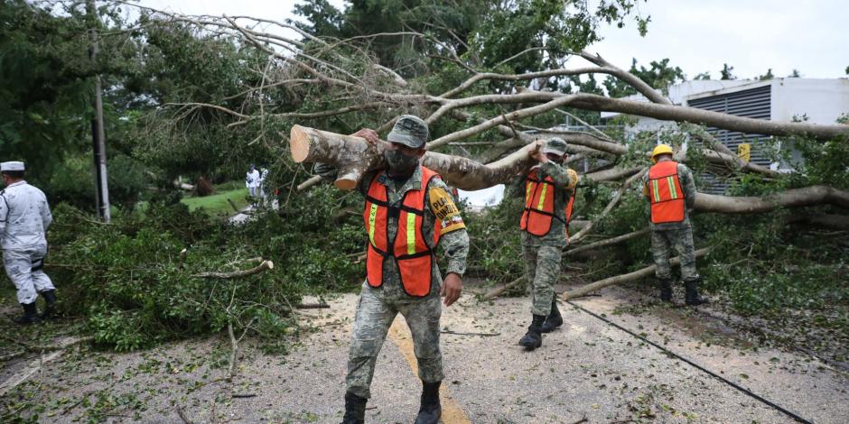 Foto: Cortesía Árboles y postes caídos: este es el saldo tras el paso del huracán 'Delta' por Quintana Roo y Yucatán