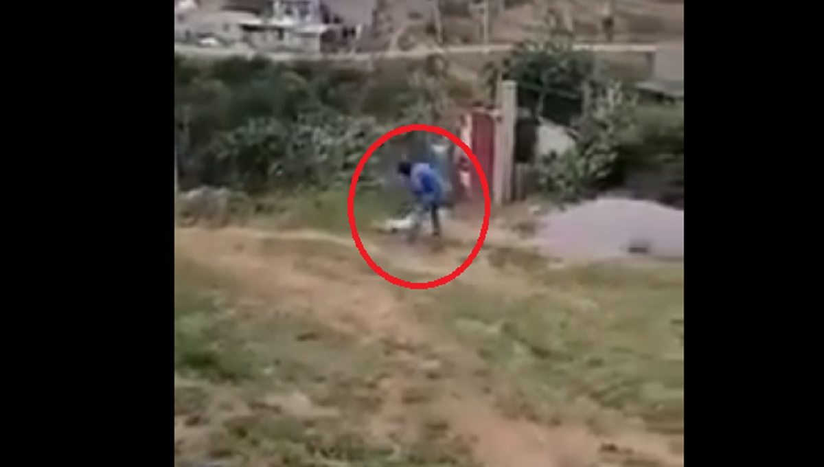 Foto: Cortesía ¡Indignante! Perrita es asesinada a machetazos por un hombre (Video)
