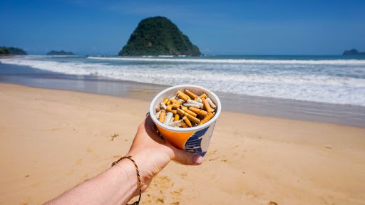 Foto: Cortesía Morena y el Verde presentan iniciativa para prohibir que se fume y venda tabaco en playas de México