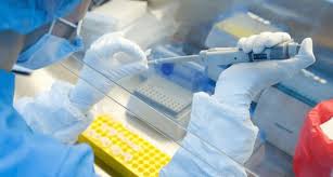 Foto: Cortesía ¿Qué es COVAX y por qué será clave en distribución de la vacuna contra el COVID-19 en México?