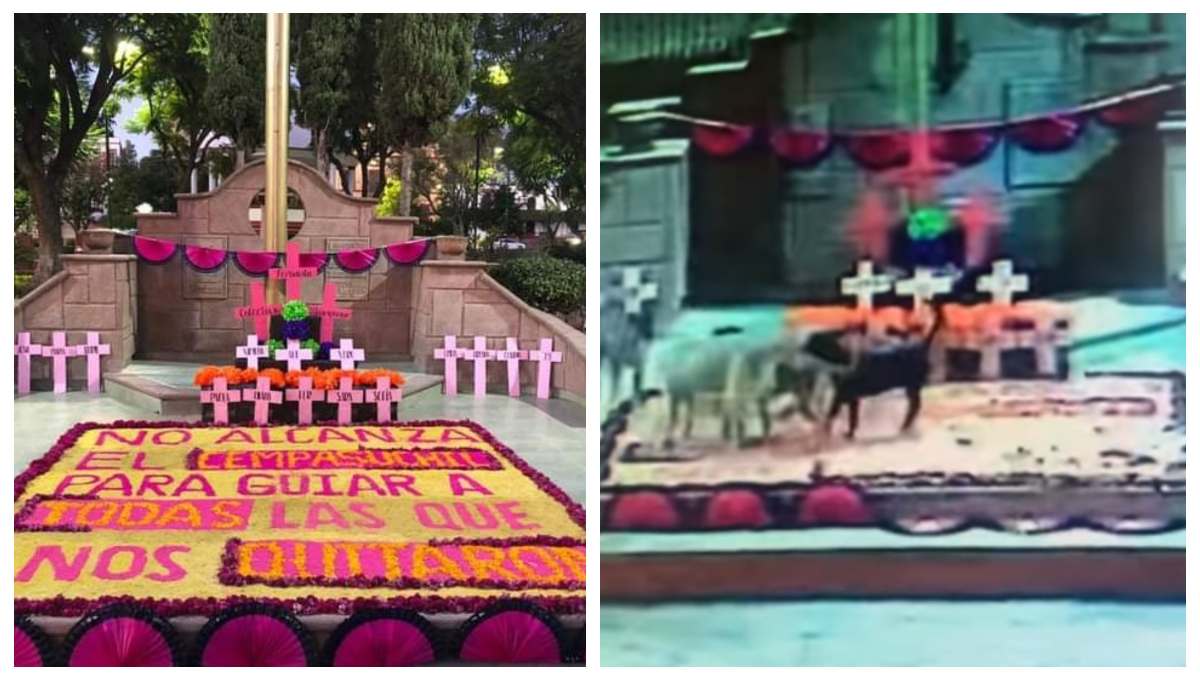 Foto: Cortesía Perros, los responsables de vandalizar ofrenda para víctimas de feminicidio (Video)