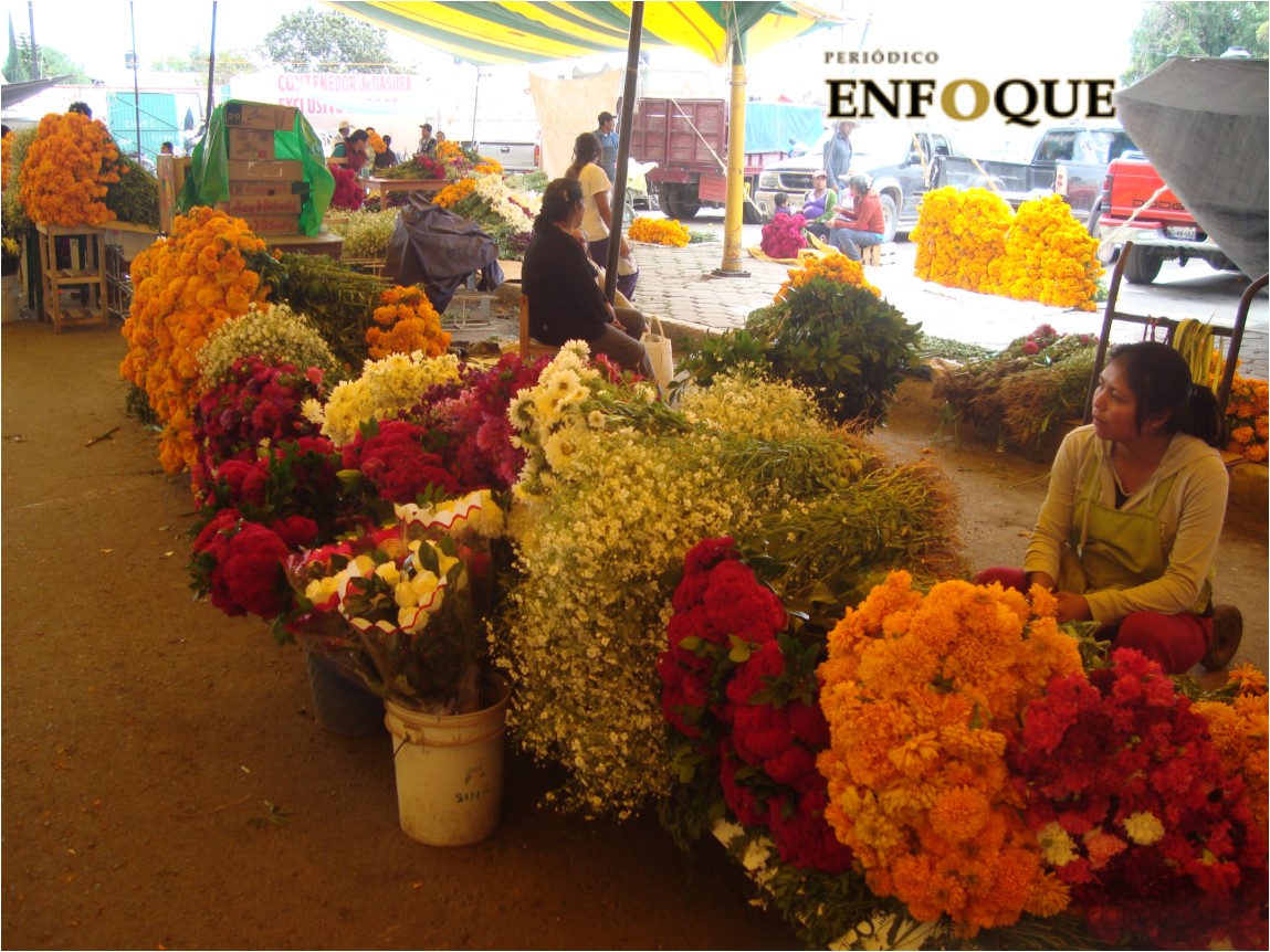 Foto: Marisol Oropeza Pandemia afecta ventas de cempasúchil en Tepeaca