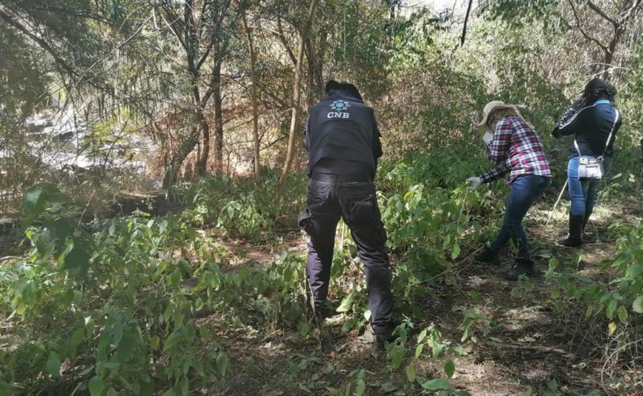 Foto: Cortesía Encuentran los restos de al menos 59 personas en fosas clandestinas en Guanajuato