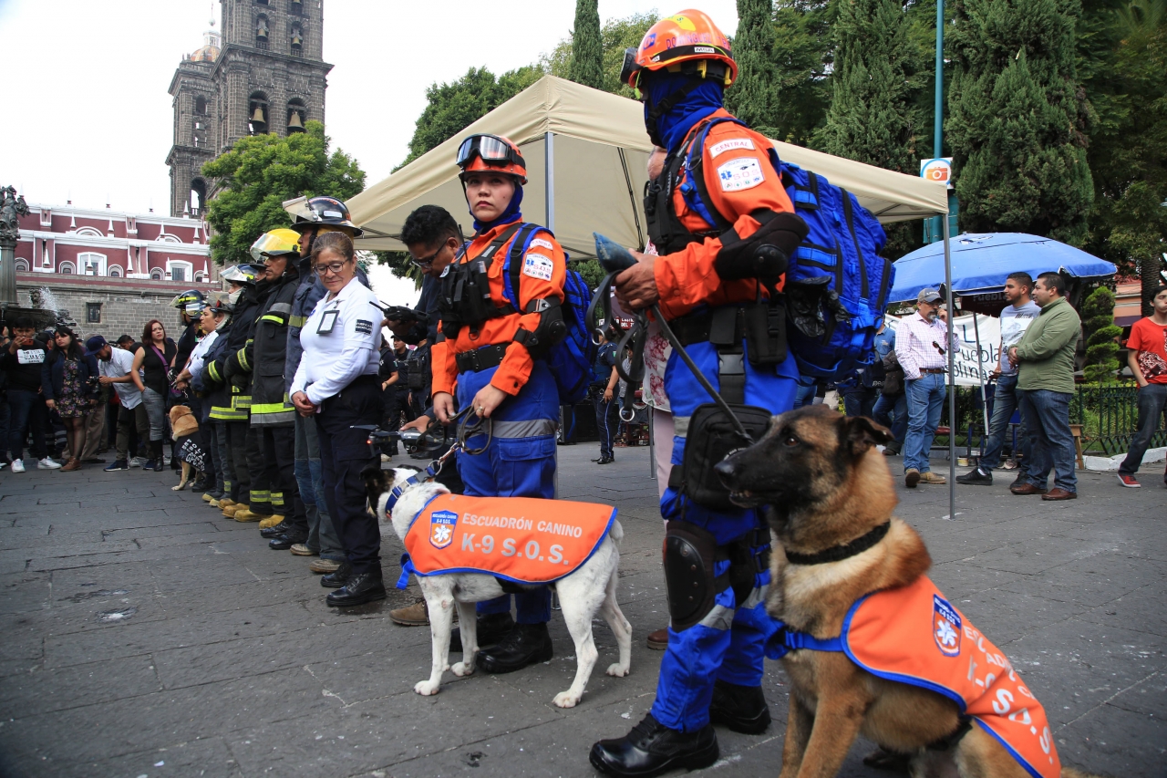 Foto: Cortesía Cancelan macro simulacro del 19 de septiembre